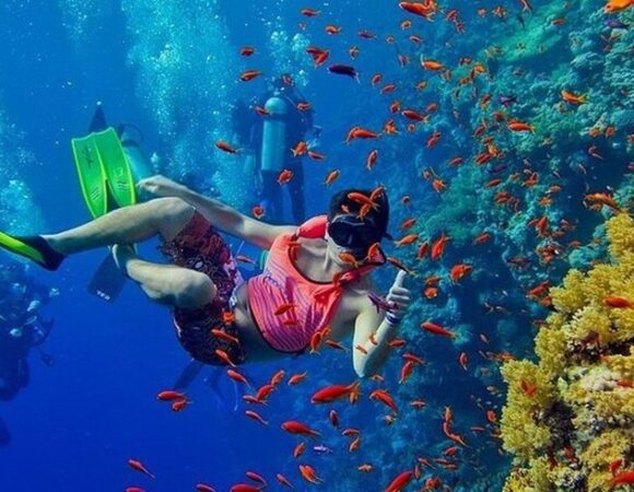 Mnemba Snorkeling Tour