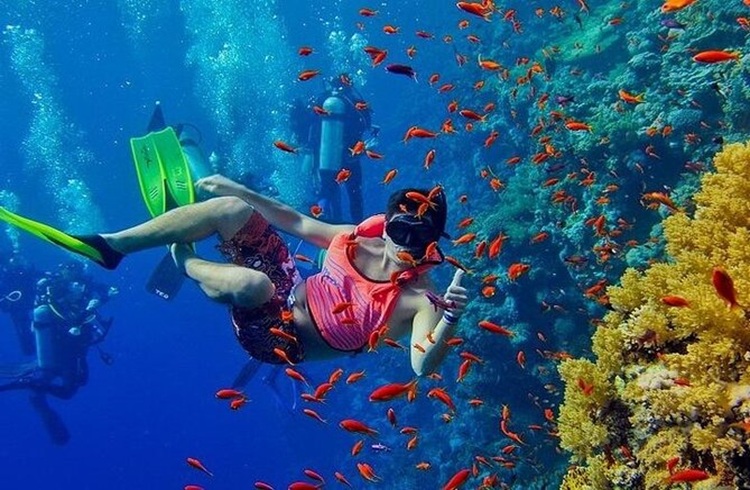 Mnemba Snorkeling Tour