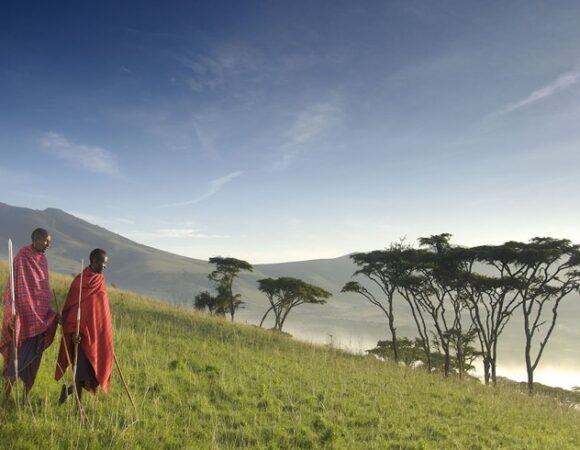 Ngorongoro Crater Safari