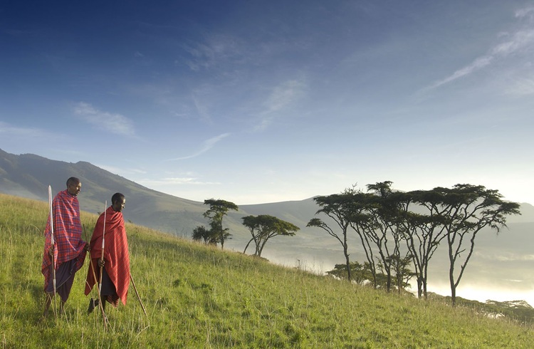 Ngorongoro Crater Safari